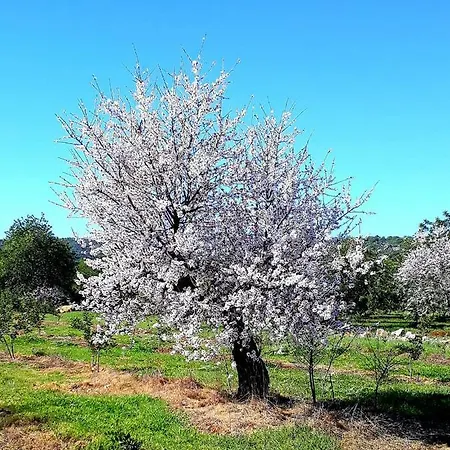 Aparte Mit Sudterrasse Am Park شقة